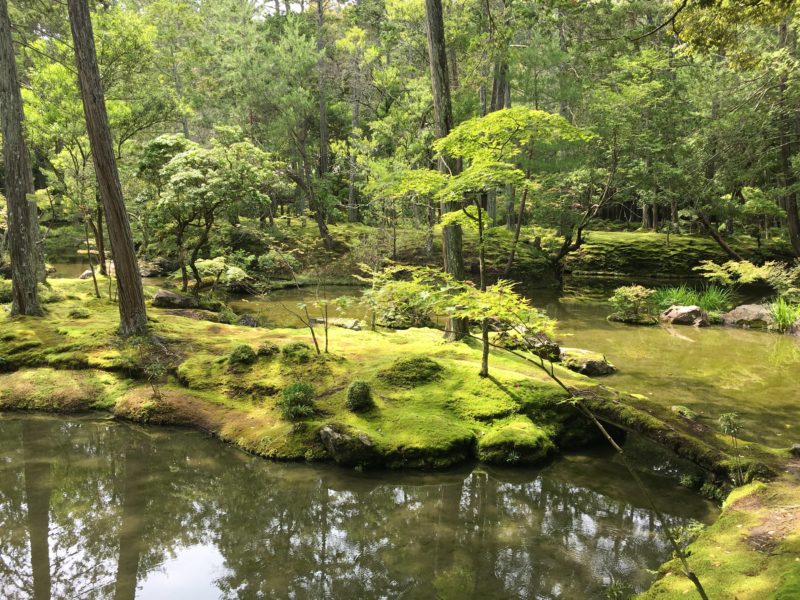 西芳寺 苔寺の庭園