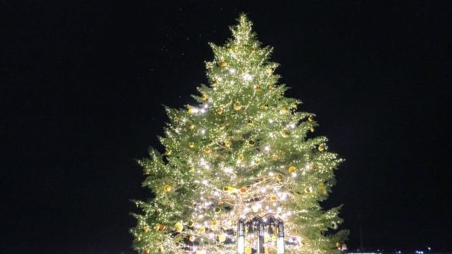 横浜赤レンガ倉庫のクリスマスツリー